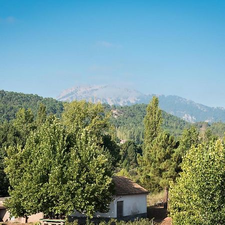 Casa Amparo Villa Riopar Bagian luar foto